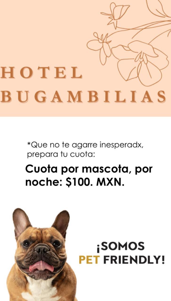 Hotel Bugambilias 오아하카주 외부 사진